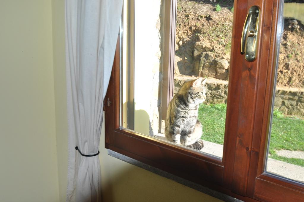 Agriturismo Il Cerrosughero Villa สการ์ลีโน ห้อง รูปภาพ