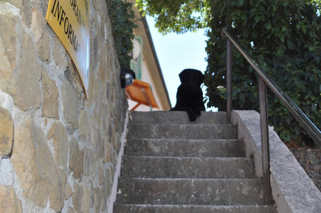 Agriturismo Il Cerrosughero Villa สการ์ลีโน ภายนอก รูปภาพ