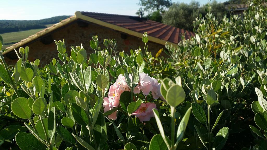 Agriturismo Il Cerrosughero Villa สการ์ลีโน ภายนอก รูปภาพ
